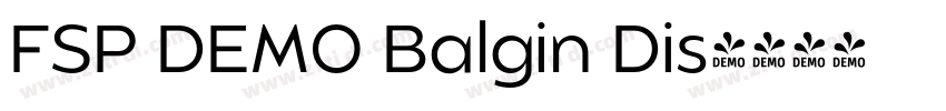 FSP DEMO Balgin Dis字体转换